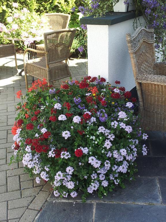 Bed and Breakfast De Witte Molen Kranenburg Exterior foto