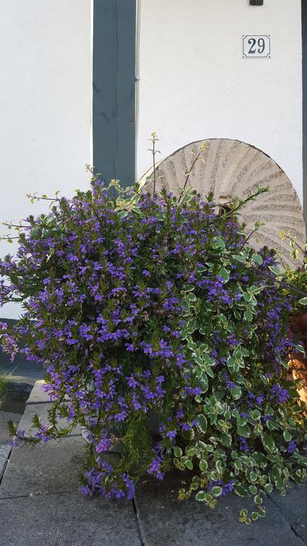 Bed and Breakfast De Witte Molen Kranenburg Exterior foto